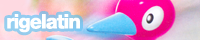 200 x 40